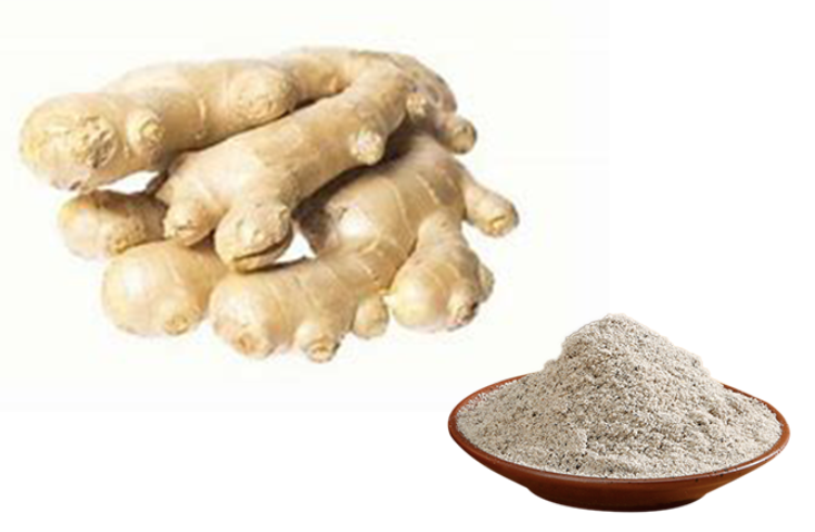 Ginger Extract